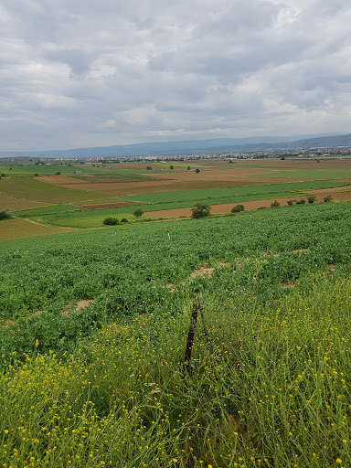 Çocuk Parki
