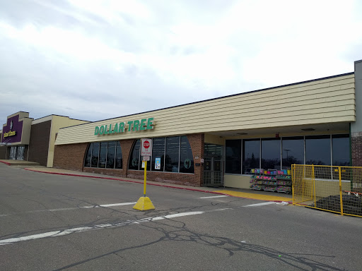 Dollar Store «Dollar Tree», reviews and photos, 325 Mall Dr, Portage, MI 49024, USA