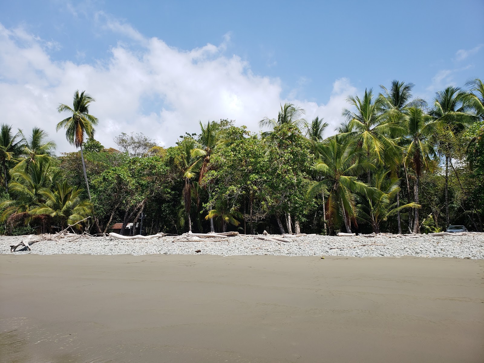 Foto av Playa Pinuelas vildmarksområde