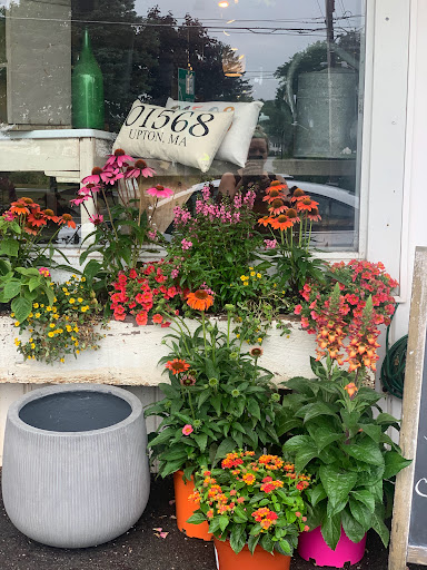 Florist «Petal and Crumb», reviews and photos, 86 Prospect St, Upton, MA 01568, USA