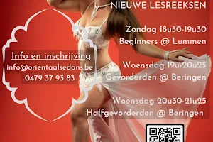 Bellydance by Johanna - Buikdansoptredens, initiaties, workshops, shows, wekelijkse les en privé les in heel België image
