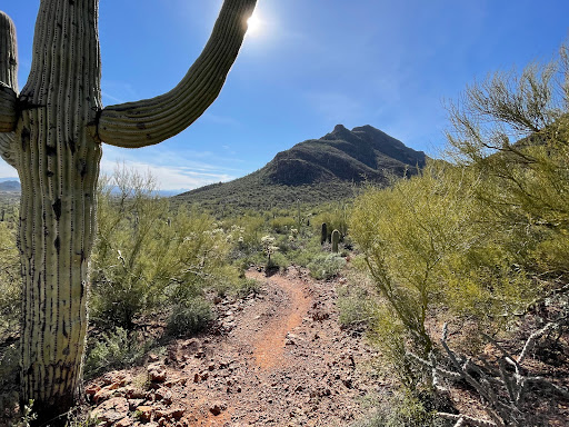 Explorer Trailhead