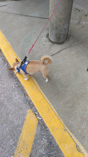 Pet Supply Store «Petco Animal Supplies», reviews and photos, 163 Highland Ave, Needham, MA 02494, USA