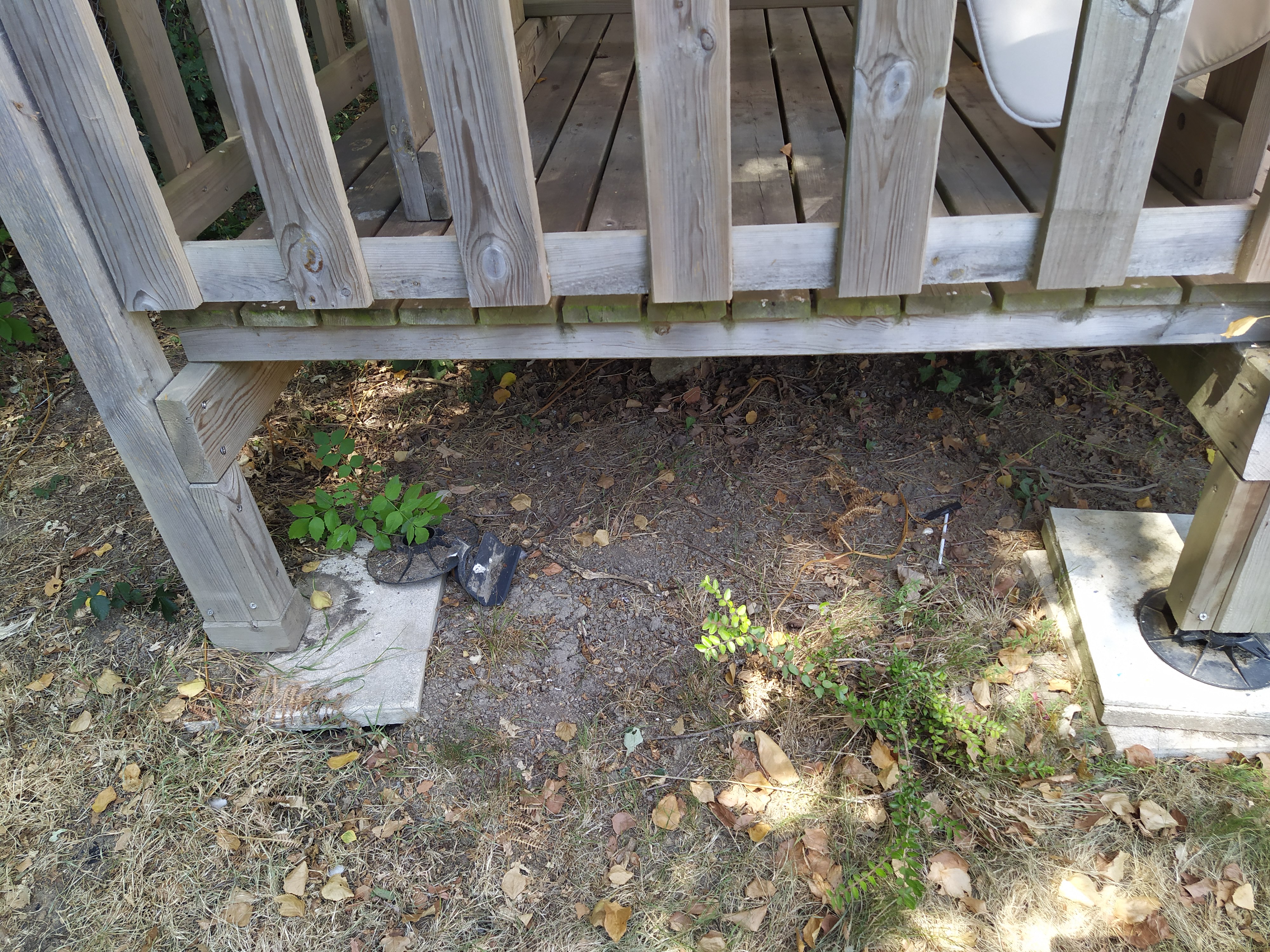Photo n° 1 de l'avis de Anne.i fait le 21/08/2022 à 13:12