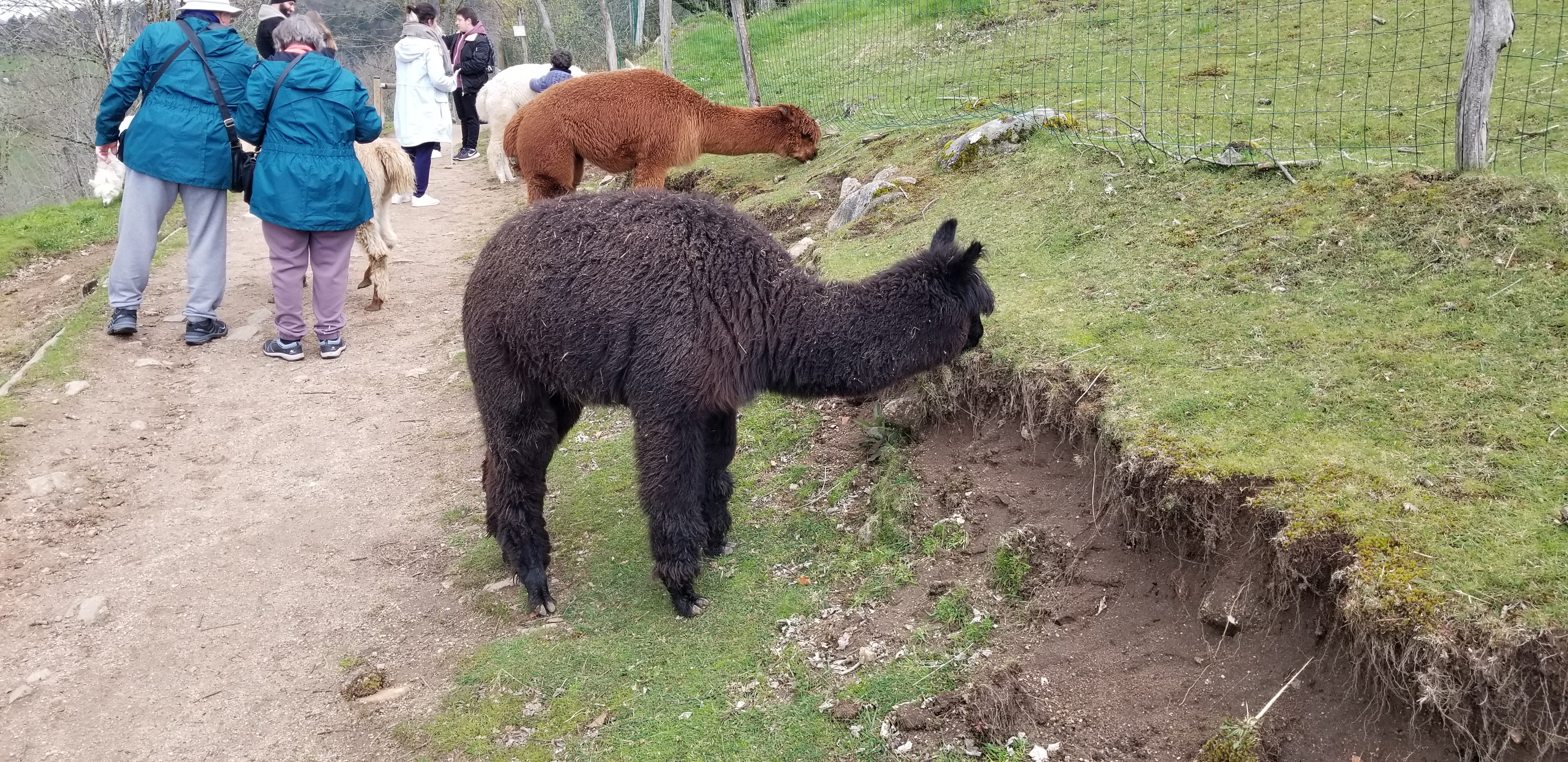 Photo n° 2 de l'avis de Laurent. fait le 26/04/2023 à 18:11