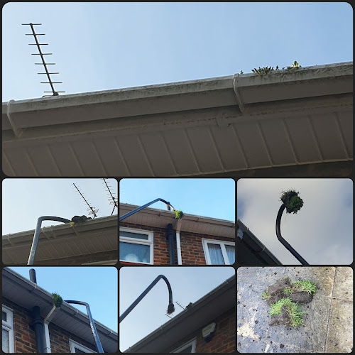 Dower Does... Window Cleaning & Gutter Cleaning - Watford