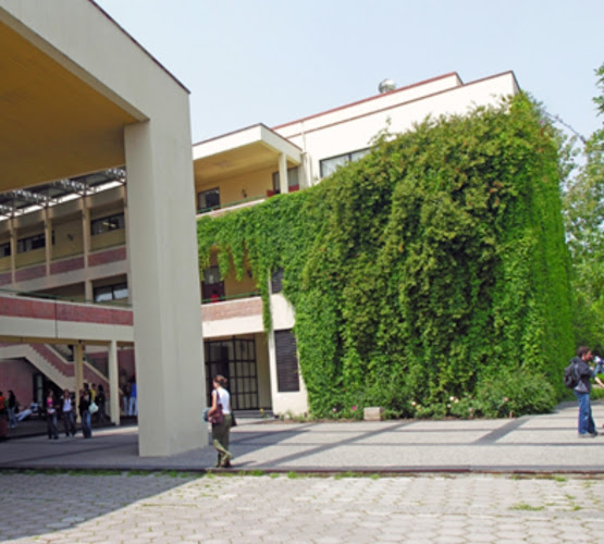 Opiniones de College UC en Macul - Universidad