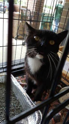 Pet Supply Store «Pet Supplies Plus», reviews and photos, 9 Waukegan Rd, Deerfield, IL 60015, USA