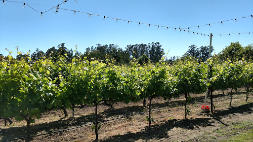 Winery «Nicholson Vineyards Winery», reviews and photos, 2800 Pleasant Valley Rd, Aptos, CA 95003, USA