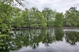 Julian L. Capik Nature Preserve image