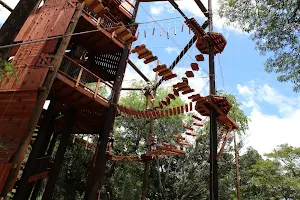 Coral Crater Adventure Park image