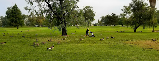 Golf Course «David L. Baker Memorial Golf Course», reviews and photos, 10410 Edinger Ave, Fountain Valley, CA 92708, USA