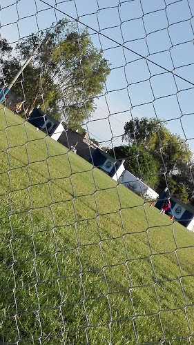 Cancha Pitufos Baby Futbol - Gimnasio