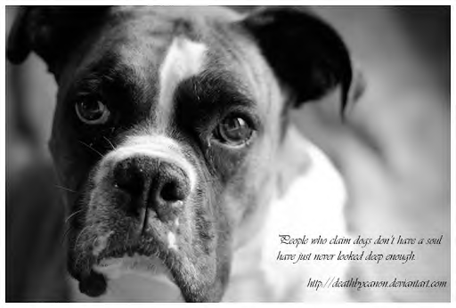 4878 NW 7th St, Miami, FL 33126, USA