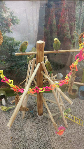 Pet Supply Store «Petco Animal Supplies», reviews and photos, 717 SE Geary St #101, Albany, OR 97321, USA