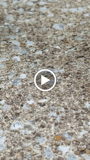 Park «Gregory Mill Park», reviews and photos, 390 Enon Springs Rd E, Smyrna, TN 37167, USA