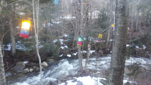 Pizza Restaurant «Outback Pizza Killington», reviews and photos, 2841 Killington Rd, Killington, VT 05751, USA