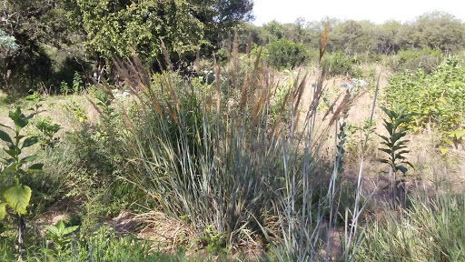 Park «Phil Hardberger Park», reviews and photos, 13203 Blanco Rd, San Antonio, TX 78216, USA