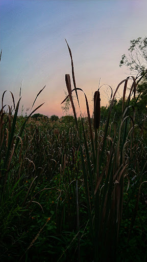 Education «River Bend Nature Center», reviews and photos, 1000 Rustad Road, Faribault, MN 55021, USA