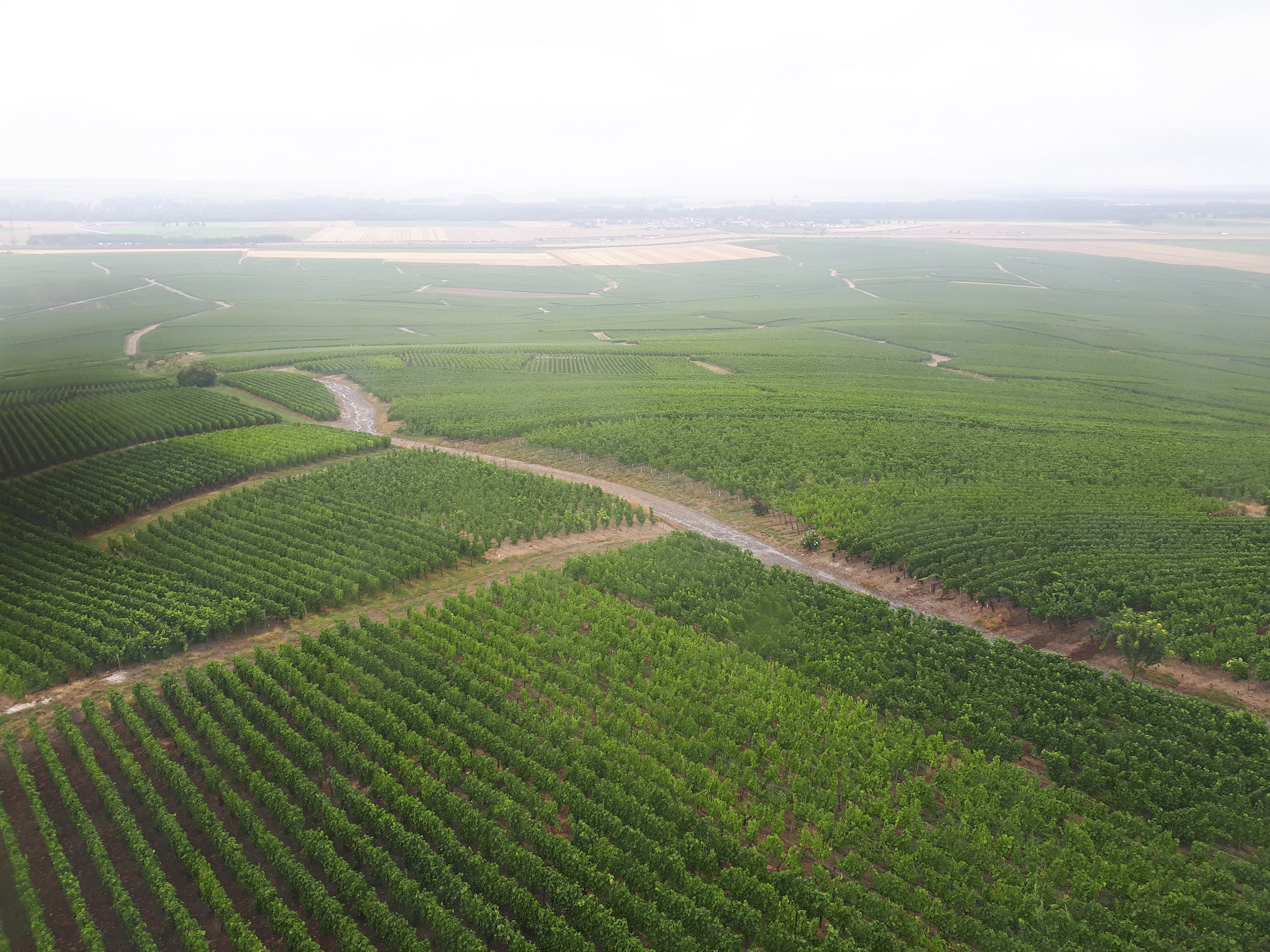 Photo n° 5 de l'avis de Ludovic.o fait le 17/08/2019 à 15:42