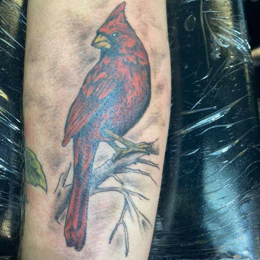 Explore random tattoo sleeve ideas, creative tattoo ideas in Mckinney, available at Borrowed Time Fine Art Gallery Tattoo Shop