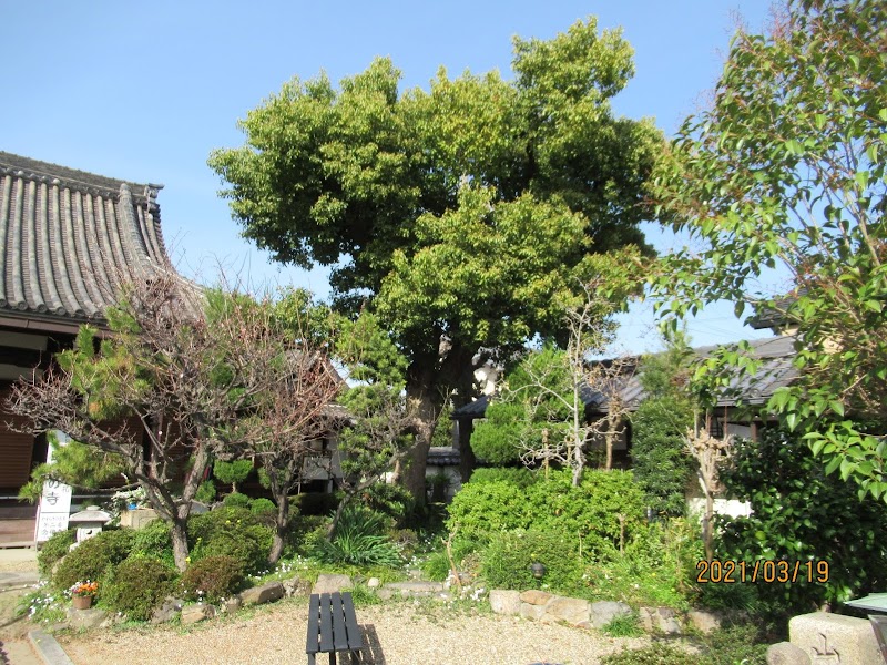 念佛寺（念仏寺）