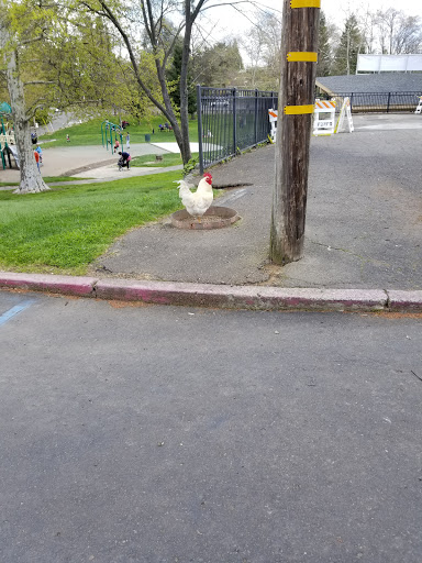 Pet Store «Village Pets», reviews and photos, 8522 Madison Ave, Fair Oaks, CA 95628, USA