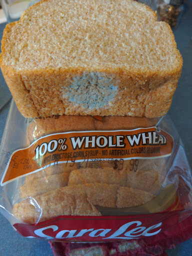 Grocery Store «P&C Fresh - Ithaca», reviews and photos, 315 Pine Tree Rd, Ithaca, NY 14850, USA