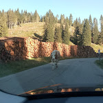 Photo n°4 de l'avis de Federico.a fait le 16/08/2020 à 11:31 sur le  Rifugio Forte Verena à Roana