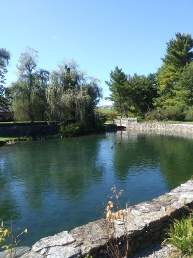 Winery «Big Cork Vineyards», reviews and photos, 4236 Main St, Rohrersville, MD 21779, USA