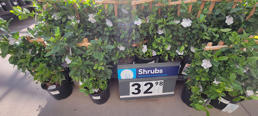 Electronics Store «Best Buy», reviews and photos, 13711 W Bell Rd, Surprise, AZ 85374, USA