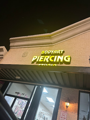 Explore dolphin tattoo ideas, creative tattoo ideas in Houston, available at Body Art Piercing Studio