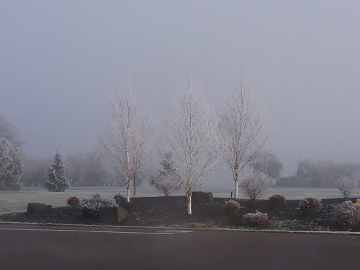 Country Club «Shadow Hills Country Club», reviews and photos, 92512 River Rd, Junction City, OR 97448, USA