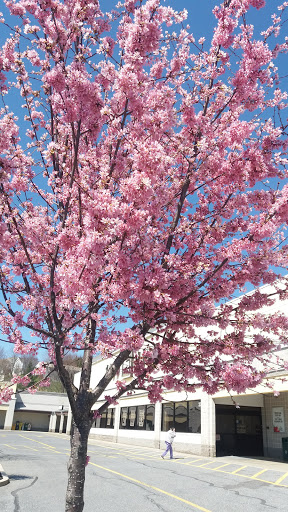 Grocery Store «Food Lion», reviews and photos, 231 Tippin Dr, Thurmont, MD 21788, USA