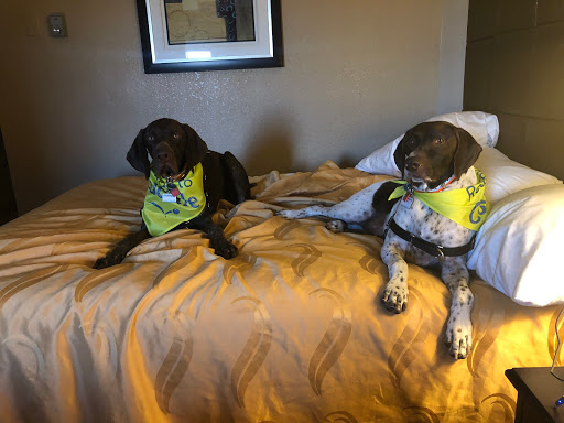 Pet Supply Store «PetSmart», reviews and photos, 8695 Park Meadows Center Dr, Lone Tree, CO 80124, USA