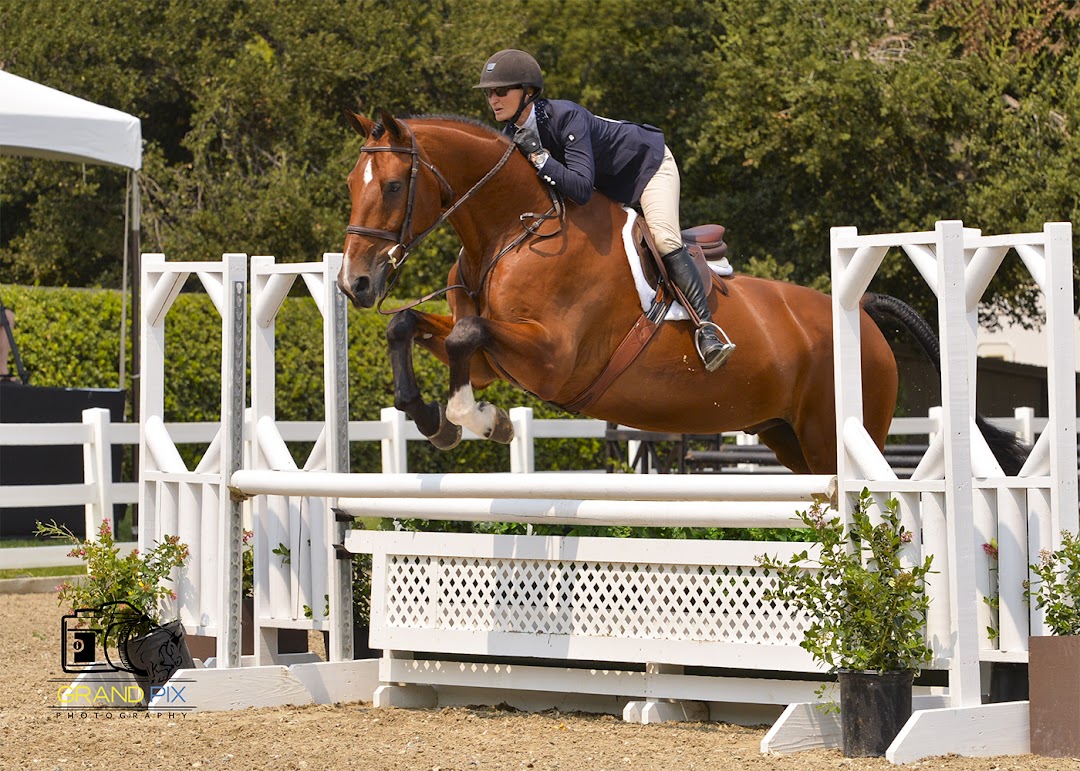 Brownlee Equestrian