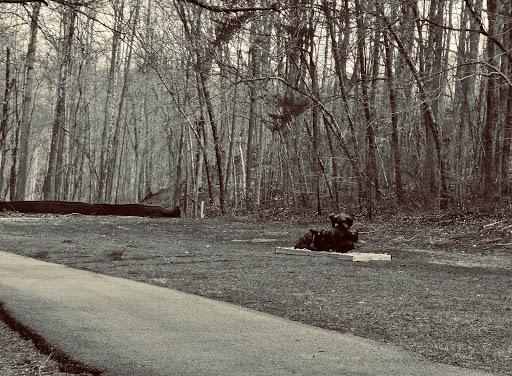 Park «Louise F Cosca Regional Park», reviews and photos, 11000 Thrift Rd, Clinton, MD 20735, USA