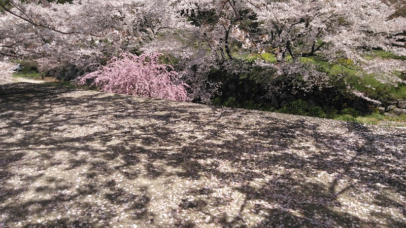 大野 さくらの里