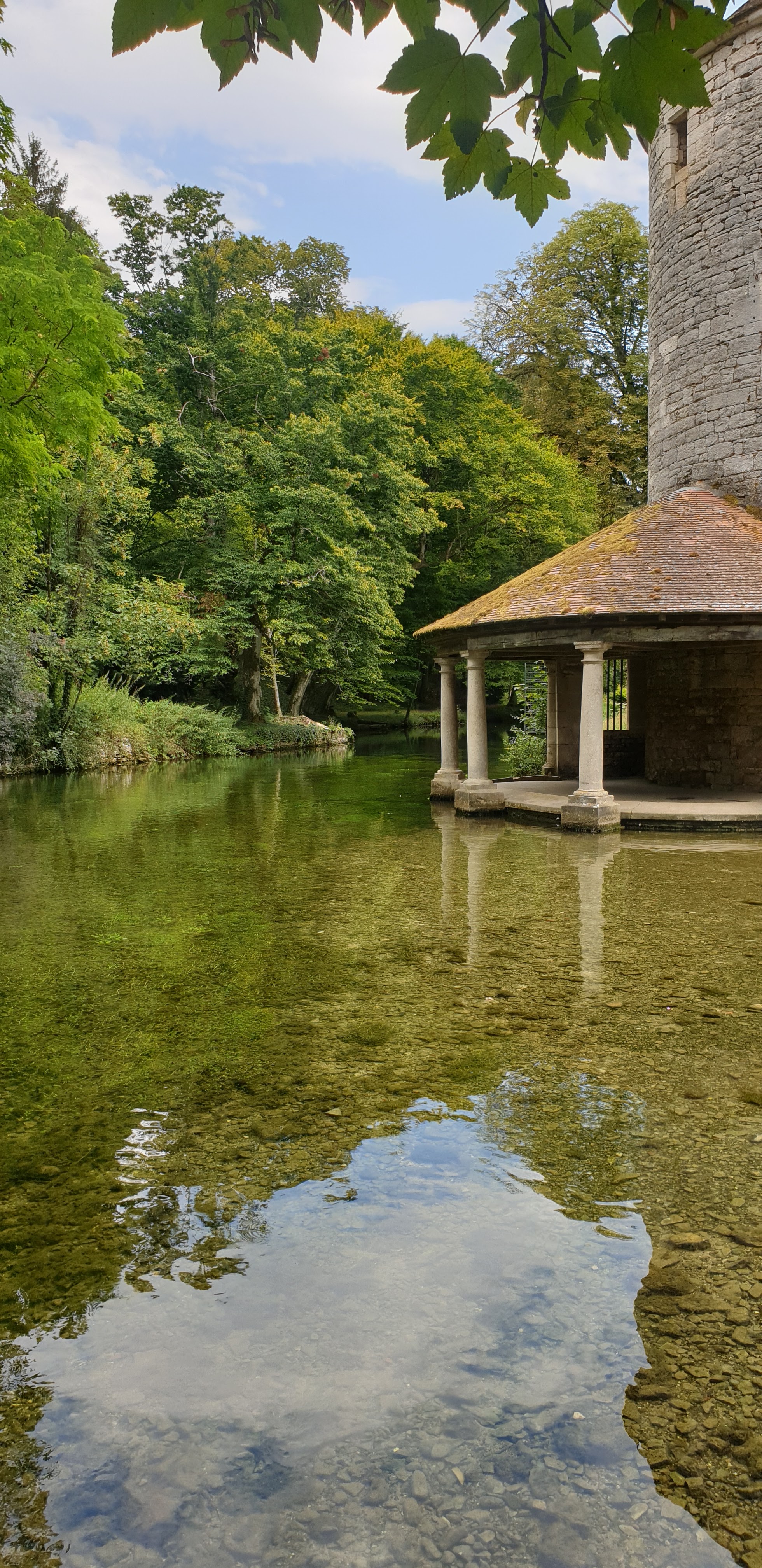 Photo n° 1 de l'avis de Ann.a fait le 04/08/2022 à 16:47