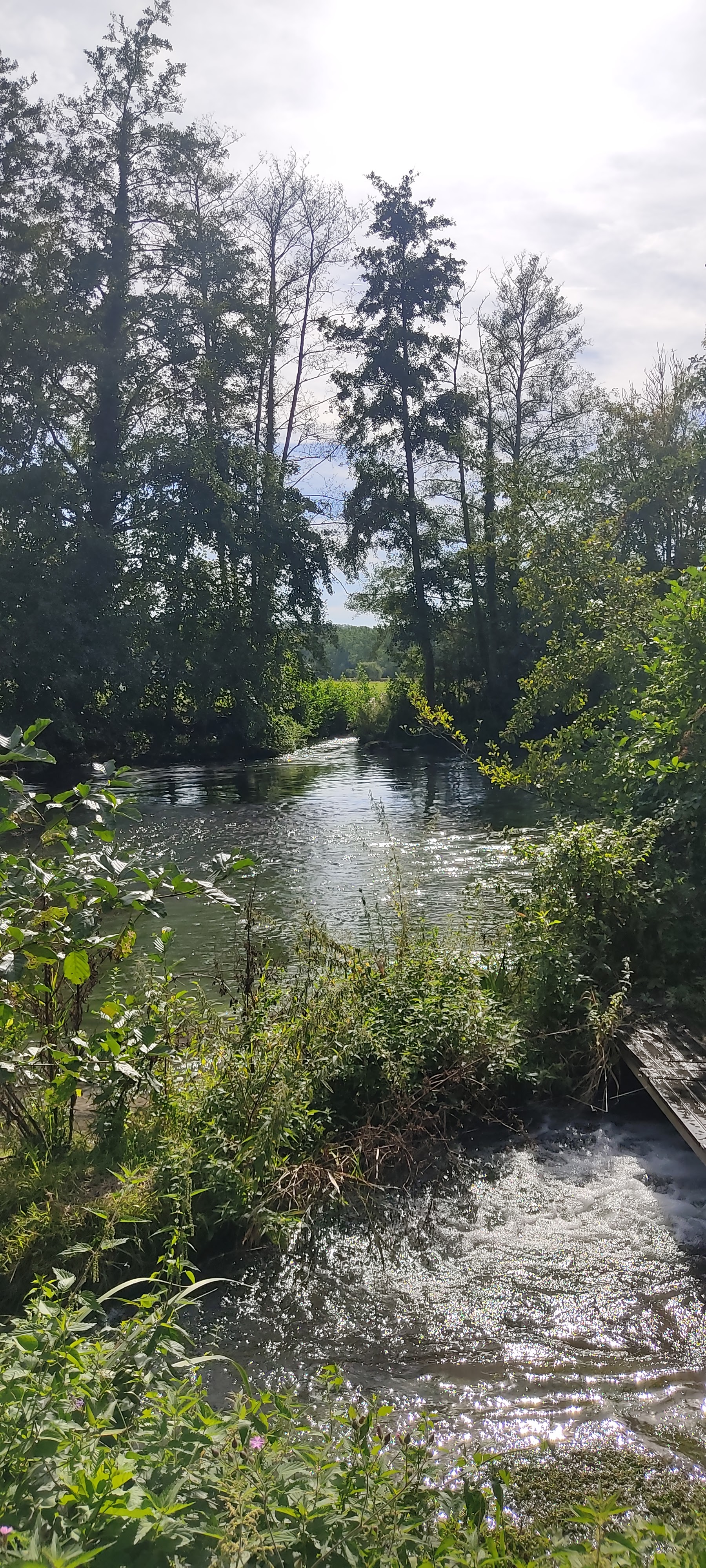 Photo n° 10 de l'avis de Rackam.e fait le 10/09/2023 à 12:34