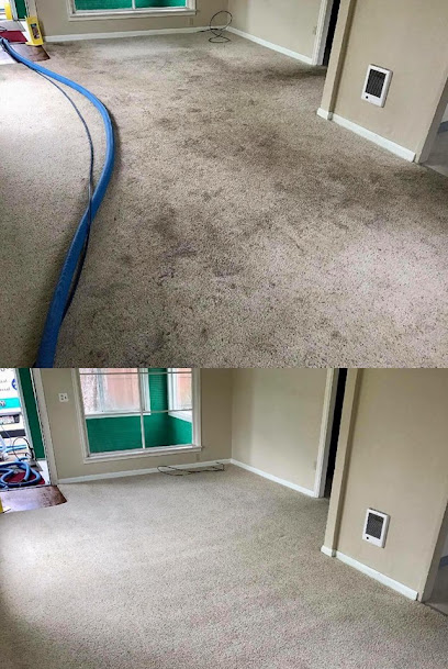 BabySoft Steam Carpet Cleaning and Tile
