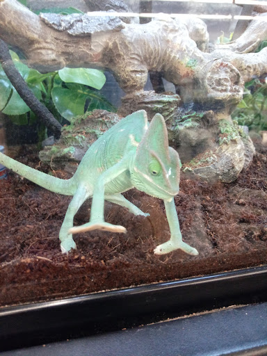 Pet Supply Store «Petco Animal Supplies», reviews and photos, 1220 Commons Cir, Plover, WI 54467, USA