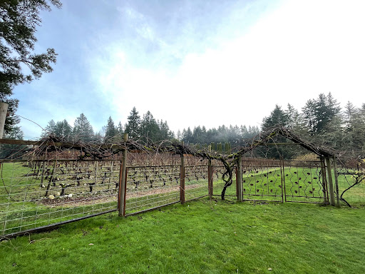 Winery «Whidbey Island Winery», reviews and photos, 5237 Langley Rd, Langley, WA 98260, USA