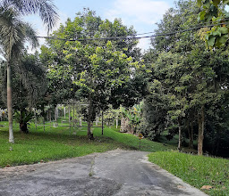 Gazebo Daun Balikpapan photo