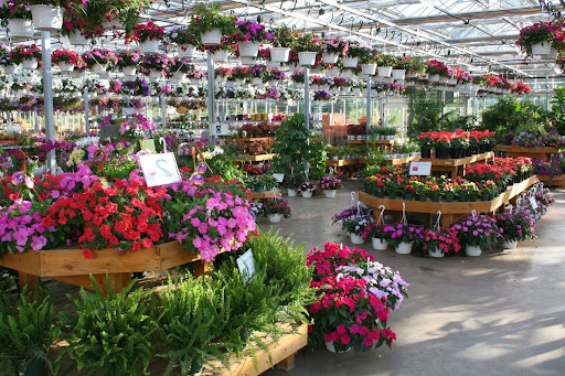 Garden Center «Blooms at Belle Mead», reviews and photos, 1980 US-206, Belle Mead, NJ 08502, USA