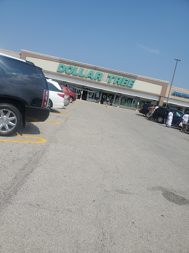 Dollar Store «Dollar Tree», reviews and photos, 8727 S Ridgeland Ave, Oak Lawn, IL 60453, USA