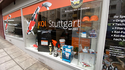 Koi Stuttgart