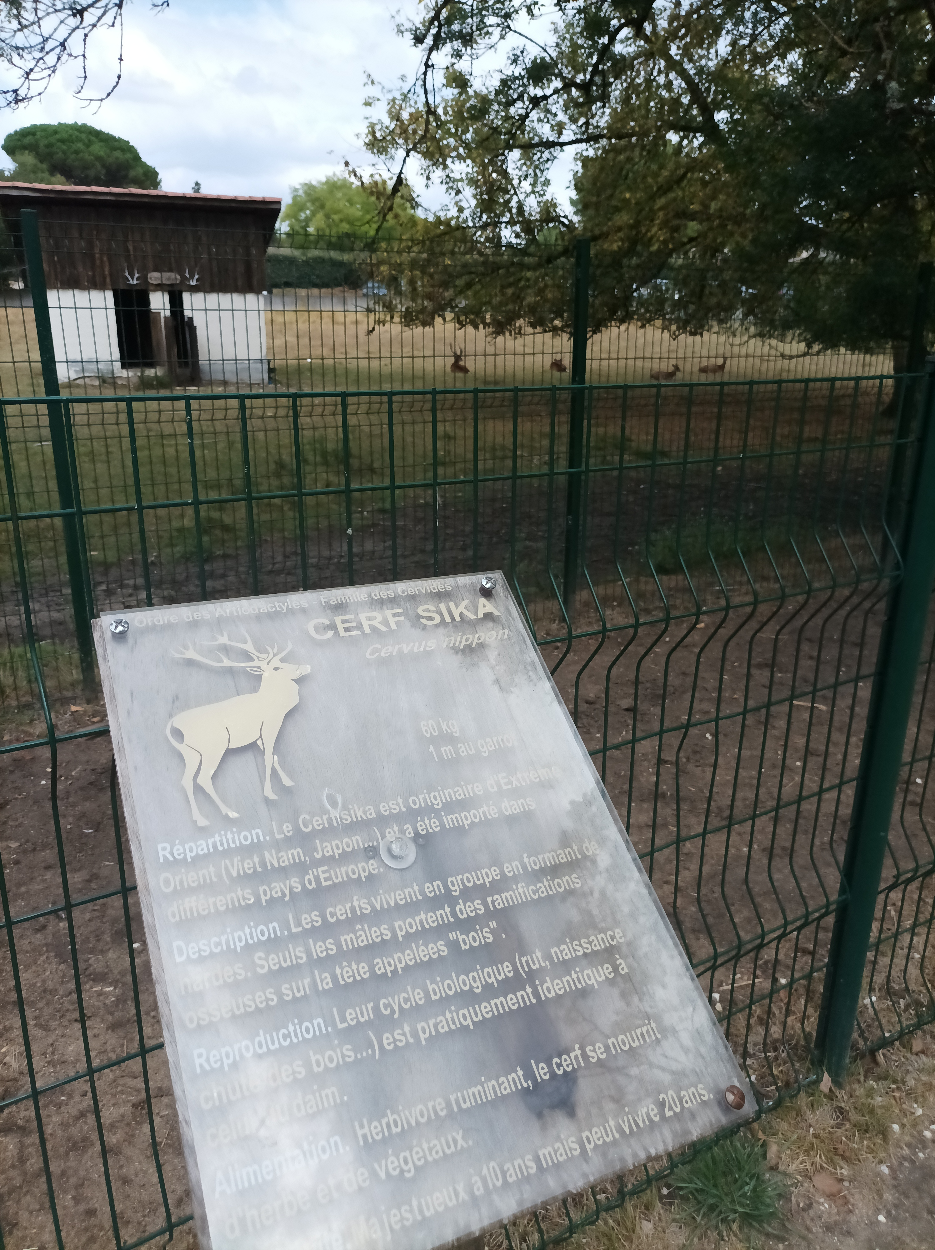 Photo n° 13 de l'avis de Ismail.G fait le 15/08/2022 à 19:39
