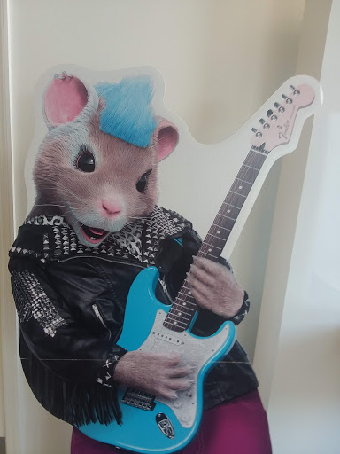 Kia Dealer «Citrus Kia», reviews and photos, 1850 SE US Hwy 19, Crystal River, FL 34429, USA