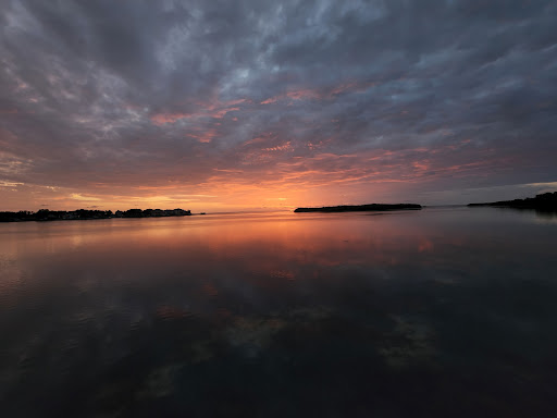 Park «Wall Springs Park», reviews and photos, 3725 Desoto Blvd, Palm Harbor, FL 34683, USA